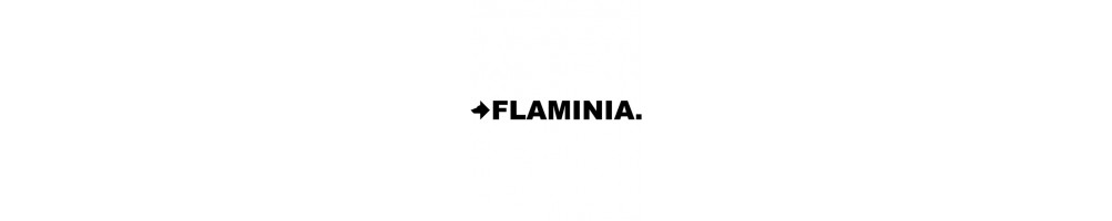 Tapa de inodoro Flaminia. Identifica tu modelo