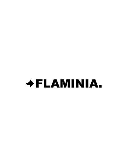 FLAMINIA
